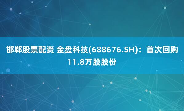 邯郸股票配资 金盘科技(688676.SH)：首次回购11.8万股股份