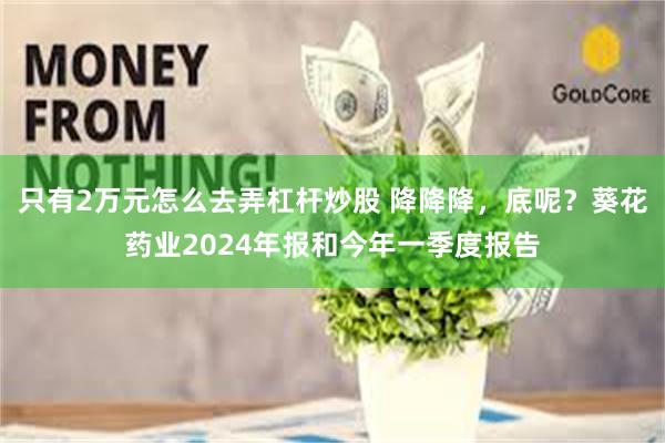 只有2万元怎么去弄杠杆炒股 降降降，底呢？葵花药业2024年报和今年一季度报告