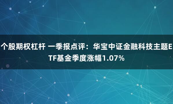 个股期权杠杆 一季报点评：华宝中证金融科技主题ETF基金季度涨幅1.07%