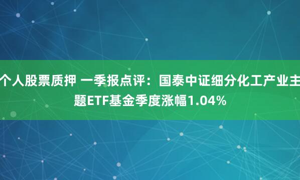个人股票质押 一季报点评：国泰中证细分化工产业主题ETF基金季度涨幅1.04%