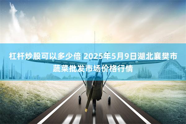杠杆炒股可以多少倍 2025年5月9日湖北襄樊市蔬菜批发市场价格行情