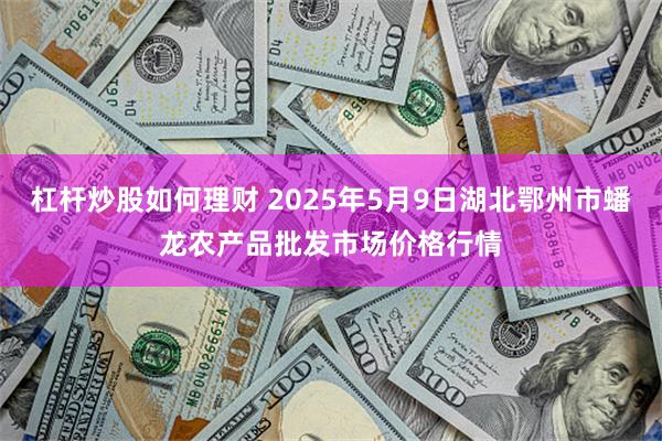 杠杆炒股如何理财 2025年5月9日湖北鄂州市蟠龙农产品批发市场价格行情