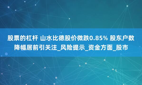 股票的杠杆 山水比德股价微跌0.85% 股东户数降幅居前引关注_风险提示_资金方面_股市