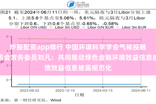 炒股配资app排行 中国环境科学学会气候投融资专业委员会常务委员刘凡：共同推动绿色金融环境效益信息披露规范化