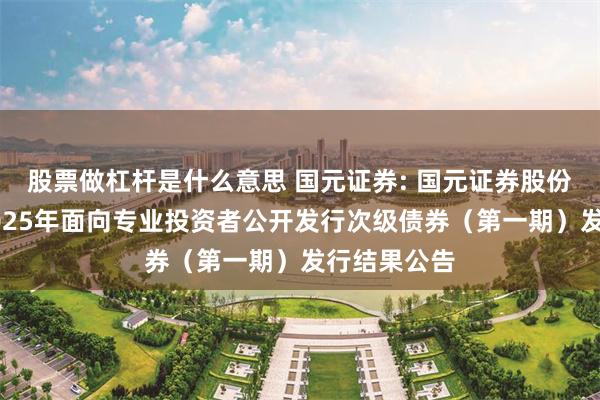 股票做杠杆是什么意思 国元证券: 国元证券股份有限公司2025年面向专业投资者公开发行次级债券(第一期)发行结果公告