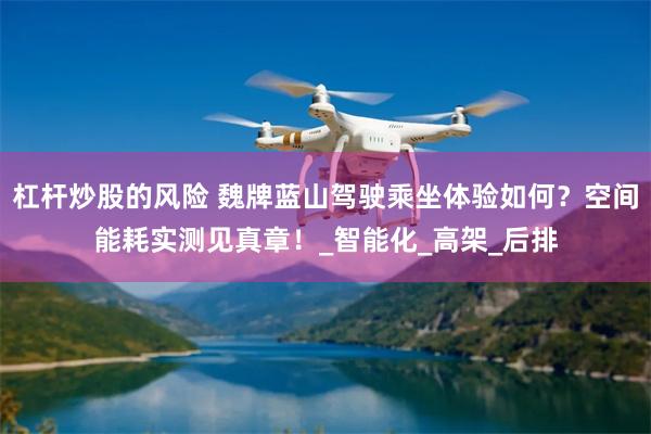 杠杆炒股的风险 魏牌蓝山驾驶乘坐体验如何？空间能耗实测见真章！_智能化_高架_后排